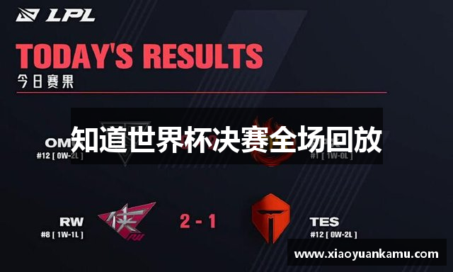 知道世界杯决赛全场回放